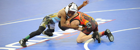 Grappling Mat