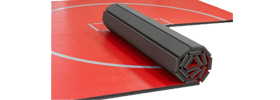 Home Wrestling Mat