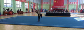 Wushu Mat